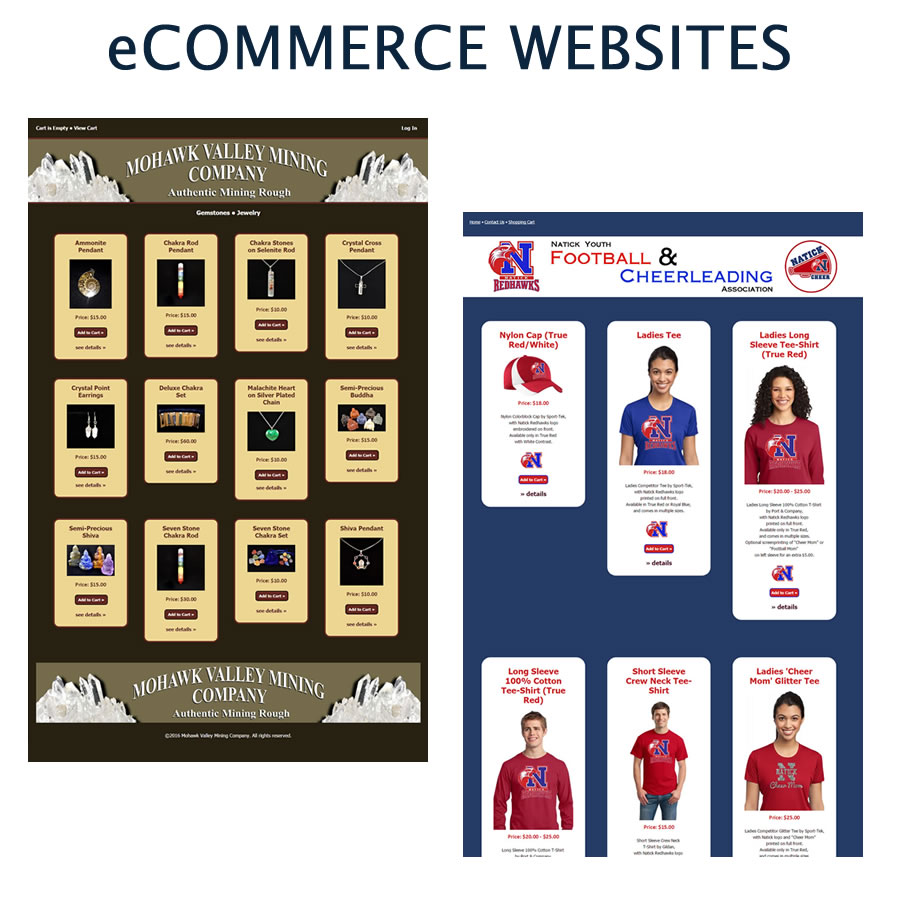 Custom designed E-commerce Websites